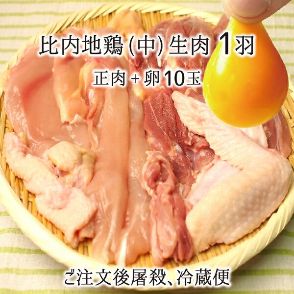 比内地鶏 肉&卵セット 中型1羽 生肉(正肉 約1kg) 卵 10玉 秋田県大仙市産 むね/もも/ささみ/せせり/手羽先/皮/ぼんじり 送料無料