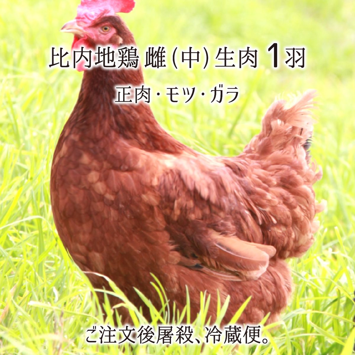 &nbsp;生産地は、秋田県中央部に位置する出羽丘陵地、大仙市協和。 肉質を上げる規定以上の160〜180日間飼育の比内地鶏です。 この鶏の特長は、弾力の肉質と、綺麗に澄む豊富な旨味出汁。 ご注文後に屠殺解体し、部位別に捌き冷蔵便でお届けします。&nbsp; 名称比内地鶏 中型 雌 1羽(正肉・モツ・ガラ) 内容量●正肉(約1.1kg)：むね／もも／ささみ／せせり／手羽先／皮／ぼんじり／(脂)。●もつ(約150g)：ハツ／レバー／砂肝／(きんかん／卵管は個体により無い場合ございます)。●ガラ(約500g)。 生産者ハピー農場 生産地秋田県大仙市協和 保存方法冷蔵保存、10℃以下で保存下さい。 賞味期限発送日から約5日、到着後はお早めにお召し上がり下さい。 受注発送18時迄のご注文：原則6日以内に発送・冷蔵便。 出荷時期通年。尚、空調施設内飼育でございません。時期等で肉質・脂質に若干個体差が生じます(冬〜春：脂多め、夏〜秋：脂少なめ筋肉質になります)。ご了承下さい。 熨斗4種類「御中元／御歳暮／御祝／御礼」但し12/20〜30発送では承れません。ご了承下さい。 注記比内地鶏は、弾力肉質の鶏です。柔らかい肉質好みの方は、短期飼育やケージ飼育の鶏が向きます。よろしくお願い致します。160日以上飼育する最高級鶏肉、比内地鶏(雌)。 名古屋コーチン、薩摩地鶏と並ぶ日本三大美味鶏。 比内地鶏は、弾力肉質で歯応えがあり、出汁が豊富に出る地鶏です。 加熱しても硬化しにくく、焼いても鍋に入れても、風味を損なわない強さがあります。 160日以上費やし育てる最高級鶏肉。焼いた表皮から漂う香り、顎に伝わる弾力、甘い脂の豊富な出汁を是非ご体感ください。 ご注文後に捕獲し、屠殺解体処理。 ご注文頂いてから屠殺し捌きます。解体当日もしくは翌日に冷凍工程を挟まず、チルド発送します。 表皮をさっと炙ってお刺身で、調味料を少し振ってグリルで、ガラで出汁を取って煮込み等、楽しみ方様々です。 尚、当商品は「雌鶏」です。雌雄比べますと、脂乗り良く風味に柔らかみある雌鶏、一回り大きく筋肉質で歯応え強く旨味濃厚な雄鶏になります。 世界へ誇る秋田ブランド、比内地鶏。 比内地鶏は、天然記念物の比内鶏(雄)×ロードアイランドレッド(雌)の一代交配種で、日本農林規格規定の下、飼育された地鶏を言います。 ●比内地鶏の認証規定。 ・場所：1平方メートルに5羽以下。 ・方法：放飼い、平飼い。 ・期間：孵化から150日間以上。 ブロイラー(約45日飼育)等、身動きの取れない鶏舎に詰め込み、大量の餌で太らせた鶏とは、全く別物の肉質が感じられるはずです。 作り手 ”ハピー農場” さん(秋田県) 広い鶏舎で育つ、毛艶の良い比内地鶏。 秋田県中央部、出羽山地の丘陵地、大仙市協和に鶏舎を構えます。 野生に近い環境は、毛艶を良くし、秋田美人な比内地鶏を育てます。 一羽当たりのスペースを広く取り、約2000羽の少数管理。燦々と陽差しを浴びて元気闊達に走り回り、余分な脂が落ちて、筋肉質に引き締まります。 肉質を上げる、規定より費やす飼育日数。 150日以上の飼育期間が秋田県で規定されていますが、当園の比内地鶏は、160〜180日を飼育期間に費やします。 長期間の飼育は、それだけ餌も食べて費用が掛かり、手間も要します。 しかし、卵を産み始める160日を超える頃、脂の乗りが良くなり、最高に美味しい肉味を与えてくれます。 安全な飼育環境と認証処理施設。 飲み水：特別豪雪地帯に指定される、上質な雪解水を与えます。 餌：遺伝子組み換え、添加物飼料を一切使わず、農薬、化学肥料に頼らないEM菌(有用微生物群)飼料を中心に、野菜、野草を加えて育てます。 ご注文後に捕獲し、認証施設で屠殺解体処理し発送します。屠殺後短時間でお届けします比内地鶏の風味を、お気に召して頂けましたら幸いです。 秋田県大仙市産 比内地鶏 生肉 冷蔵【送料無料】 名称比内地鶏 中型 雌 1羽(正肉・モツ・ガラ) 内容量●正肉(約1.1kg)：むね／もも／ささみ／せせり／手羽先／皮／ぼんじり／(脂)。●もつ(約150g)：ハツ／レバー／砂肝／(きんかん／卵管は個体により無い場合ございます)。●ガラ(約500g)。 生産者ハピー農場 生産地秋田県大仙市協和 保存方法冷蔵保存、10℃以下で保存下さい。 賞味期限発送日から約5日、到着後はお早めにお召し上がり下さい。 受注発送18時迄のご注文：原則6日以内に発送・冷蔵便。 出荷時期通年。尚、空調施設内飼育でございません。時期等で肉質・脂質に若干個体差が生じます(冬〜春：脂多め、夏〜秋：脂少なめ筋肉質になります)。ご了承下さい。 熨斗4種類「御中元／御歳暮／御祝／御礼」但し12/20〜30発送では承れません。ご了承下さい。 注記比内地鶏は、弾力肉質の鶏です。柔らかい肉質好みの方は、短期飼育やケージ飼育の鶏が向きます。よろしくお願い致します。 ・納品書等金額の分かる書類は梱包致しておりません。「生産者、商品説明書」のみ同梱しお届け致します。 ・領収書をご希望の方は「備考欄」にてお伝えください。発送時に電子領収書にて発行致します。