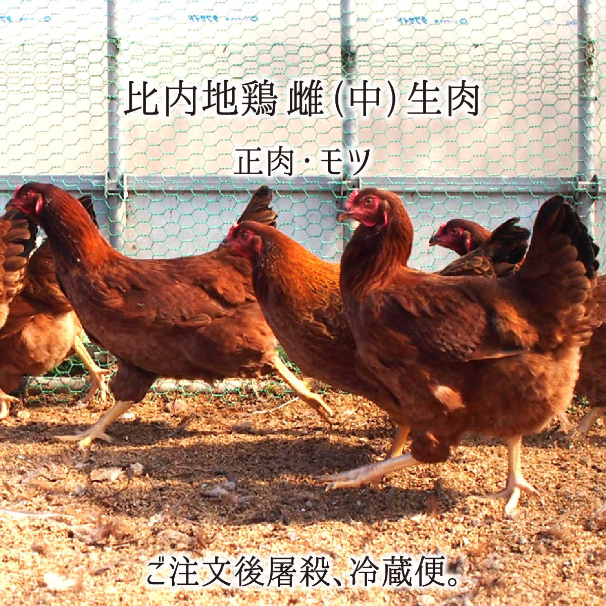 Ԥβ