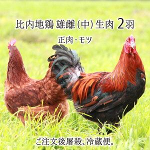 比内地鶏 雄&雌 中型 2羽 生肉(正肉 約2.2kg・もつ 約300g) 秋田県大仙市産 むね/もも/ささみ/せせり/手羽先/皮/ぼんじり/ハツ/レバー/砂肝他 送料無料