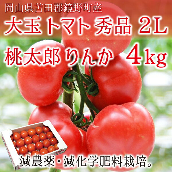 大玉トマト 2Lサイズ 秀品 4kg 15〜20玉 岡山県鏡野町産 減農薬 減化学肥料 水気耕栽培 桃太郎 りんか 10月下旬〜5月 送料無料のサムネイル