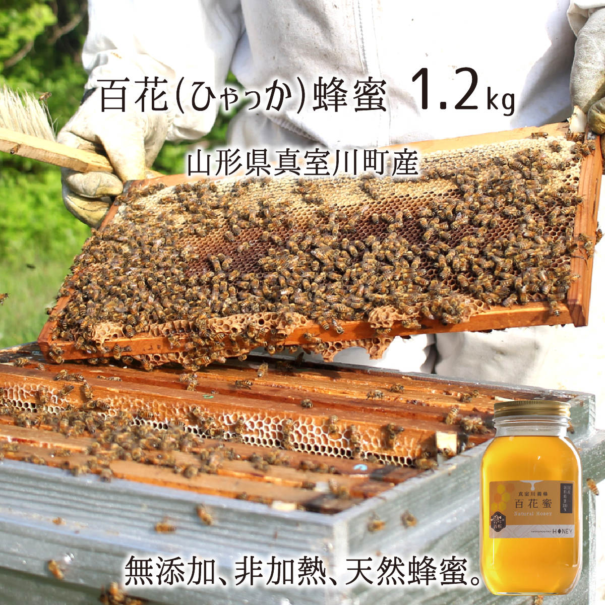 百花蜂蜜(糖度80以上) 無添加 非加熱 全原材料国産 天然 純粋蜂蜜 山形県真室川町産 2023年採蜜 1.2kg 送料無料のサムネイル