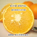 紅甘夏 訳あり サイズ混載 5kg 10kg 鹿児島県出水市産 減農薬 無化学肥料 特別栽培 あまなつ 2月下旬〜4月下旬 送料無料
