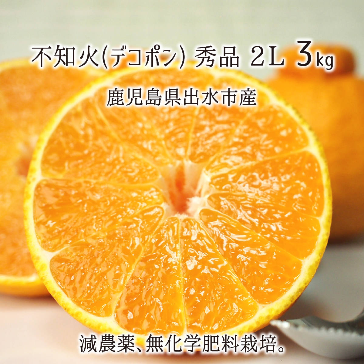 不知火(デコポン) 秀品 2L 3kg 減農薬 無化学肥料 特別栽培 鹿児島県出水市産 8～9玉 12月上旬～2月下旬 送料無料のサムネイル