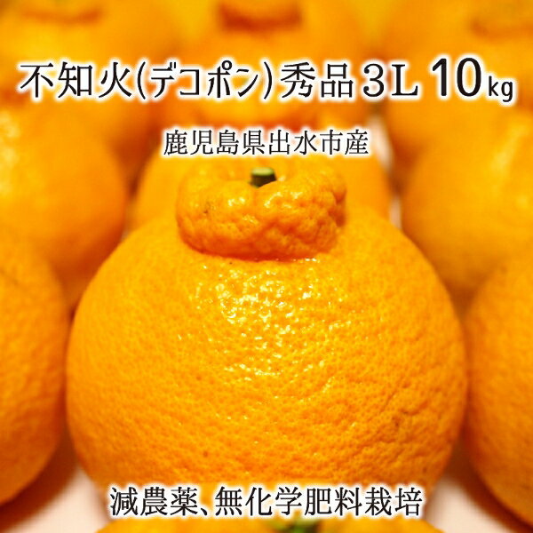 不知火(デコポン) 秀品 3L 10kg 鹿児島県出水市産 減農薬 無化学肥料 特別栽培 26〜30玉 12月上旬〜2月下旬 送料無料