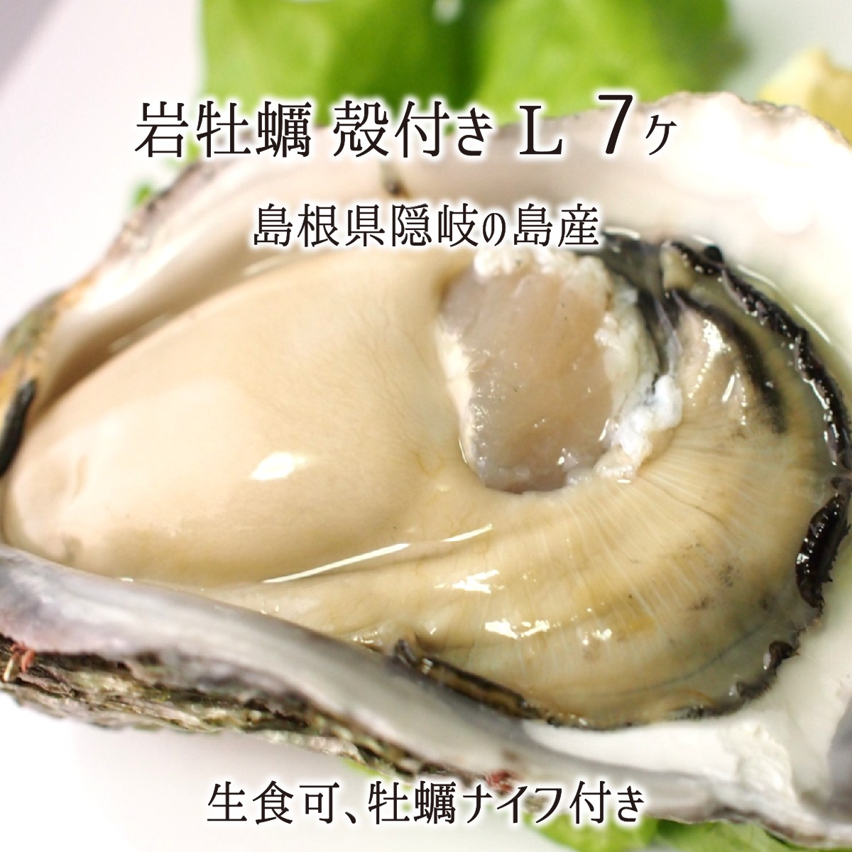 岩牡蠣(生食可) Lサイズ 7個 約2.3kg 島根県隠岐の