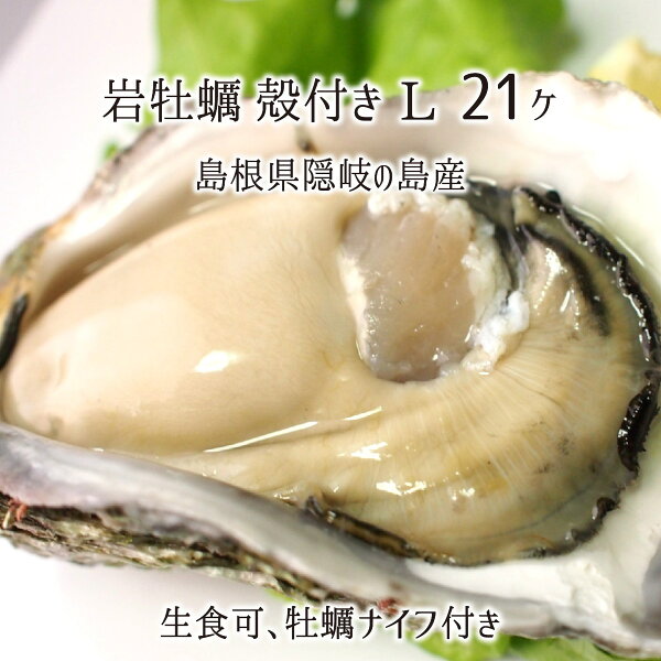 牡蠣殻 水質浄化 みんな探してる人気モノ 牡蠣殻 水質浄化 食品 牡蠣殻 水質浄化 みんな探してる人気モノ 牡蠣殻 水質浄化 食品