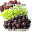 黒系 赤系 緑系 3色葡萄詰合せ 秀品 2kg 3kg 4kg 種あり葡萄 ハウス無農薬 路地8割減農薬 無化学肥料栽培 4~12房 福岡県田主丸産 ブドウ 7月下旬~9月中旬 送料無料