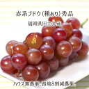 赤系葡萄詰合せ 安芸クイーン等 秀品 2kg 3kg 4kg 種あり葡萄 ハウス無農薬 路地8割減農薬 無化学肥料栽培 4~12房 福岡県田主丸産 ブドウ 7月下旬~9月中旬 送料無料