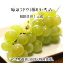 緑系葡萄詰合せ マスカット等 秀品 2kg 3kg 4kg 種あり葡萄 ハウス無農薬 路地8割減農薬 無化学肥料栽培 4~12房 福岡県田主丸産 ブドウ 7月下旬~9月中旬 送料無料