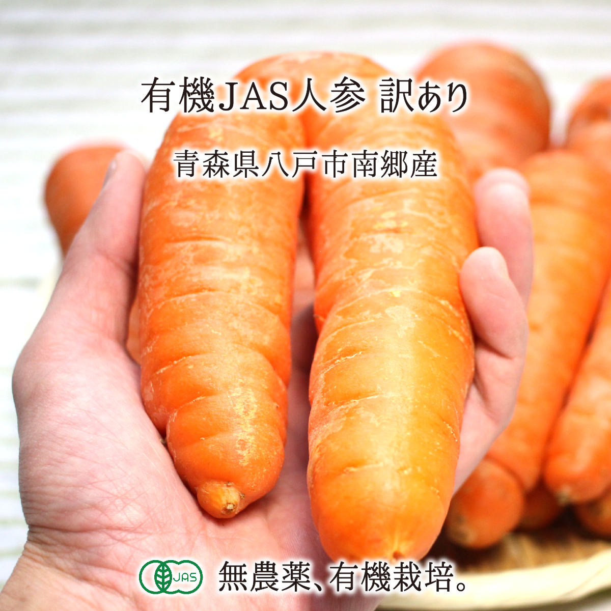有機JAS人参 訳あり 5〜15kg 無農薬 無化学肥料 有機栽培 青森県八戸市南郷産 オーガニック にんじん 送料無料のサムネイル