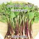 天然 あいこ 300g＋山菜3～5種 合計700～1000g 山形県真室川町産 4月中旬～5月下旬 入山・採取当日チルド発送 放射能不検出 検査済 送料無料