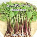 天然 あいこ 450g＋山菜5～7種 合計1.0～1.5kg 山形県真室川町産 4月中旬～5月下旬 入山・採取当日チルド発送 放射能不検出 検査済 送料無料