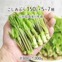 天然 こしあぶら 150g＋山菜5～7種 合