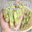 天然 たらの芽 100g＋山菜3～5種 合計600～800g 山形県真室川町産 4月上旬～5月中旬  ...