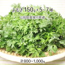 天然 よもぎ 150g＋山菜5～7種 合計800～1000g 山形県真室川町産 4月上旬～5月中旬 入山・採取当日チルド発送 放射能不検出 検査済 送料無料