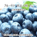 生ブルーベリー 2kg 大粒 秀品 山形県鶴岡市羽黒産 有機JAS 無農薬 無化学肥料 有機栽培 ハイブッシュ 6月下旬~7月中旬 送料無料