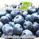 生ブルーベリー 1kg 中粒 秀品 山形県鶴岡市羽黒産 有機JAS 無農薬 無化学肥料 有機栽培 ハイブッシュ 6月下旬~7月中旬 送料無料