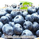 生ブルーベリー 2kg 中粒 秀品 山形県鶴岡市羽黒産 有機JAS 無農薬 無化学肥料 有機栽培 ハイブッシュ 6月下旬~7月中旬 送料無料