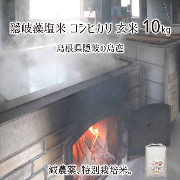 隠岐藻塩米 特別栽培 コシヒカリ 玄米 10kg 島根県隠岐の島町 2021年産 減農薬 減化学肥料 単一生産者米 エコファーマー 藻塩乃華 送料無料