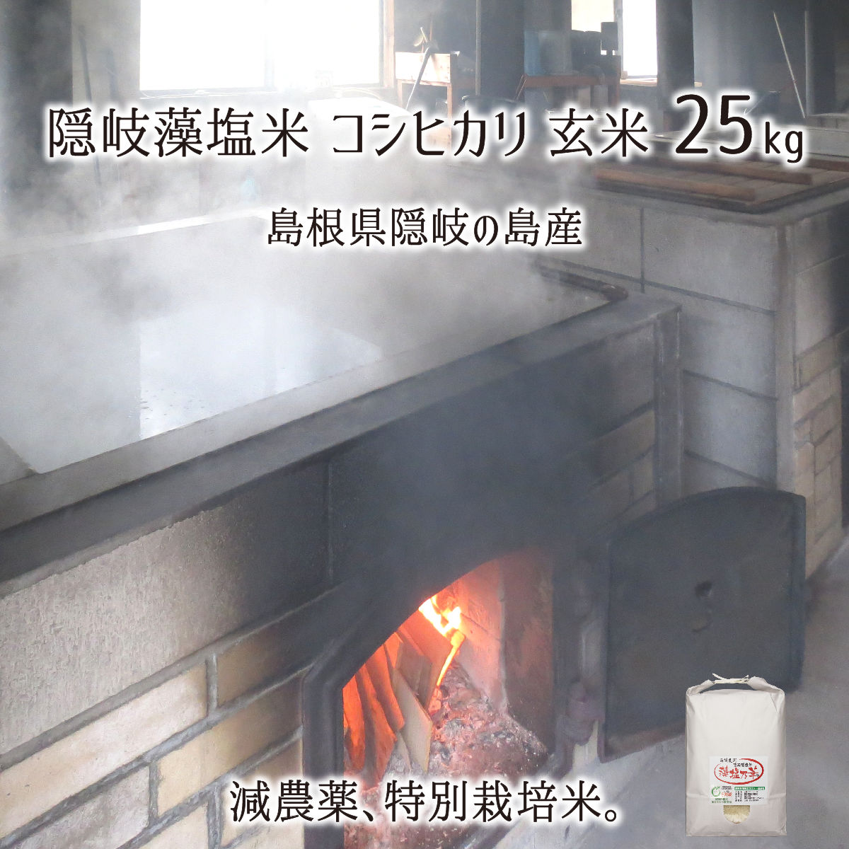 隠岐藻塩米 特別栽培 コシヒカリ 玄米 25kg 島根県隠岐の島町 2021年産 減農薬 減化学肥料 単一生産者米 エコファーマー 藻塩乃華 送料無料