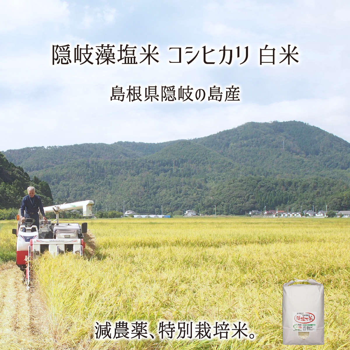 隠岐藻塩米 特別栽培 コシヒカリ 白米 5〜20kg 島根県隠岐の島町 減農薬 減化学肥料 単一生産者米 エコファーマー 藻塩乃華