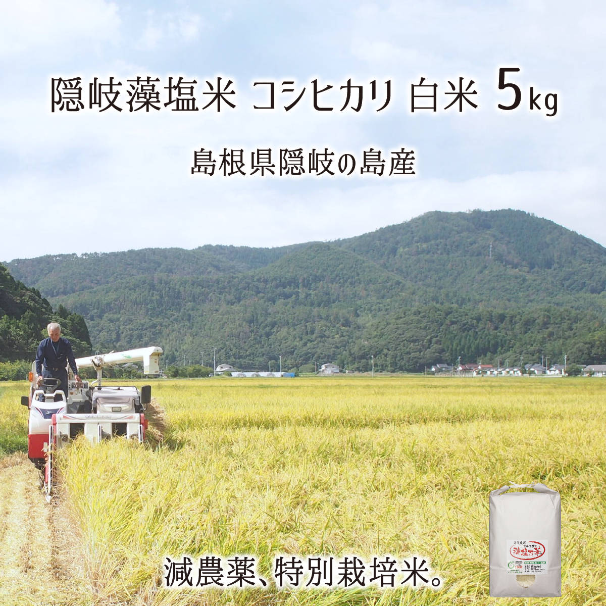 隠岐藻塩米 特別栽培 コシヒカリ 白米 5kg 島根県隠岐の島町 2021年産 減農薬 減化学肥料 単一生産者米 エコファーマー 藻塩乃華 送料無料