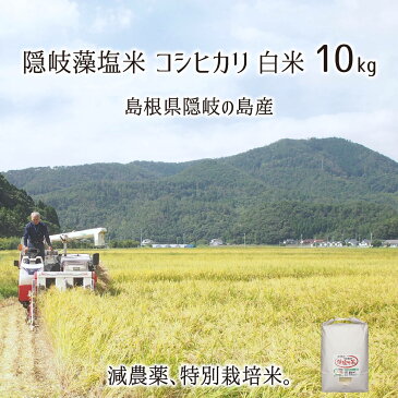 隠岐藻塩米 特別栽培 コシヒカリ 白米 10kg 島根県隠岐の島町 2021年産 減農薬 減化学肥料 単一生産者米 エコファーマー 藻塩乃華 送料無料