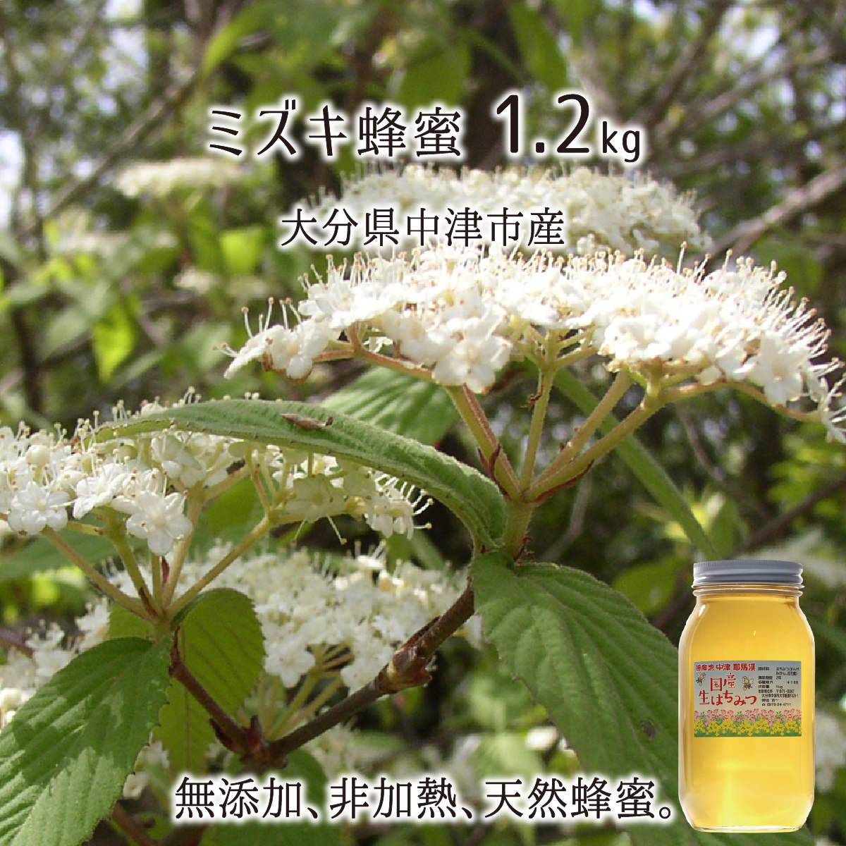 ミズキ蜂蜜 糖度80度以上 無添加 非加熱 全原材料国産 天然 純粋蜂蜜 大分県耶馬渓産 2024年採蜜 みずき蜜1200g＋他花蜜100g(試供品) 送料無料のサムネイル