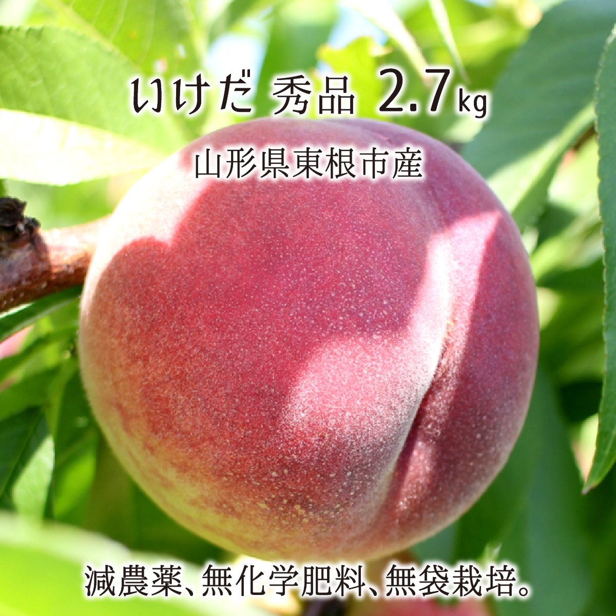 桃 いけだ 秀品 約2.7kg 減農薬 無化学肥料 無袋 特別栽培 山形県東根市産 8～10玉 8月中旬～8月下旬 送料無料のサムネイル