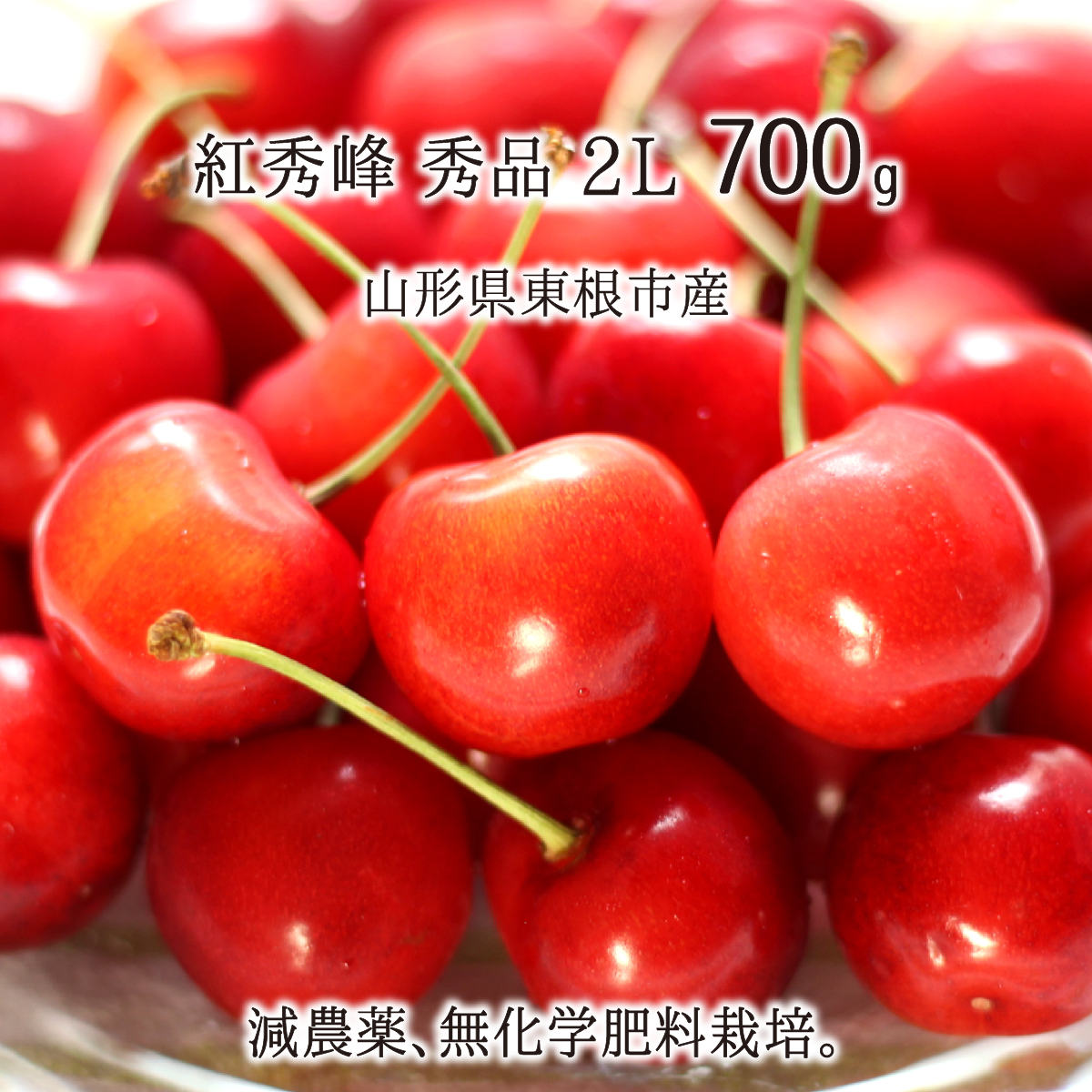 紅秀峰 秀品 2L 700g 特別栽培 さくらんぼ 山形県東根市産 減農薬 無化学肥料 6月下旬～7月上旬 朝採り当日発送 送料無料のサムネイル