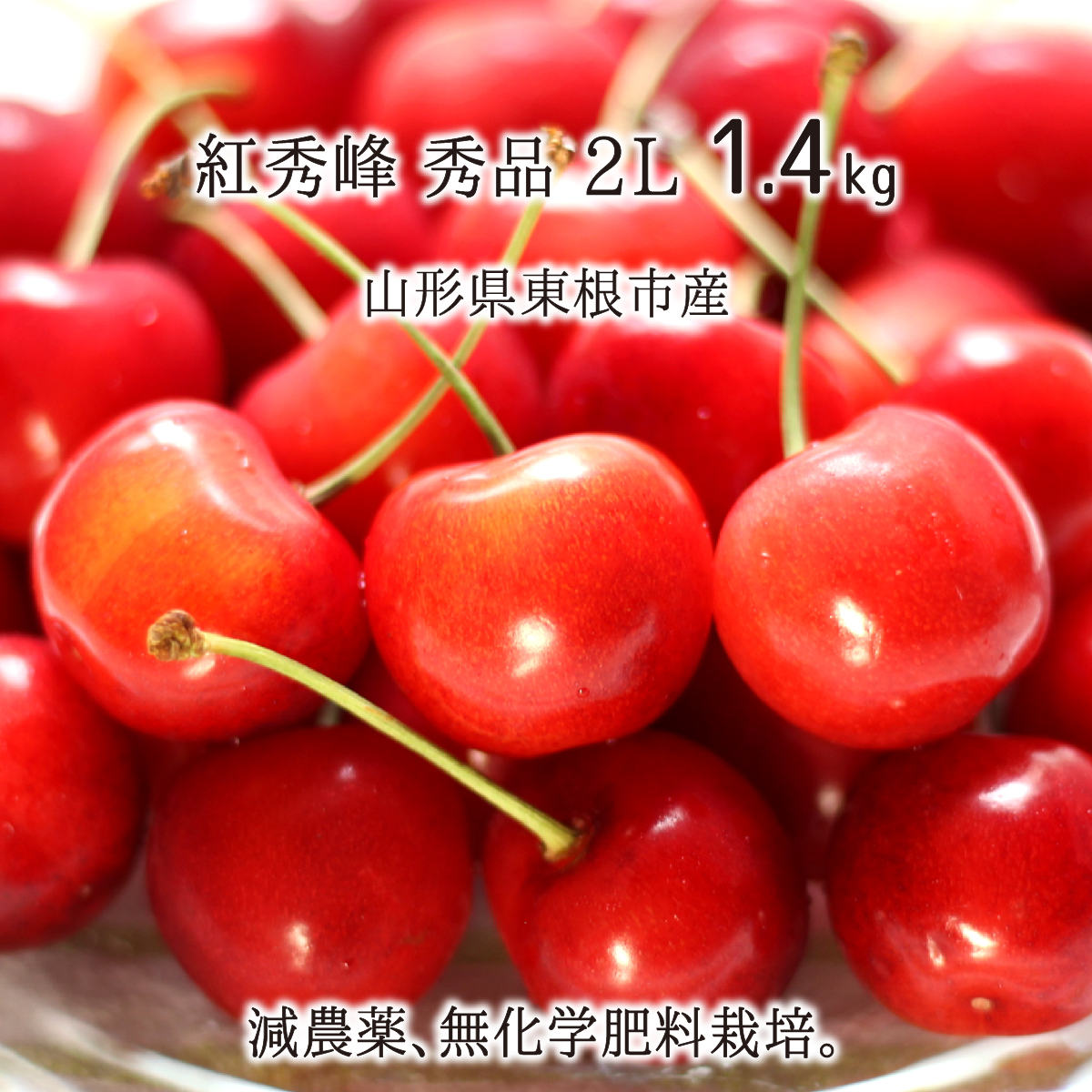 紅秀峰 秀品 2L 1.4kg 特別栽培 さくらんぼ 山形県東根市産 減農薬 無化学肥料 6月下旬～7月上旬 朝採り当日発送 送料無料のサムネイル