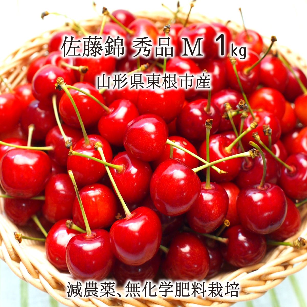 佐藤錦 秀品 M 1kg 特別栽培 さくらんぼ 山形県東根市産 減農薬 無化学肥料 6月中旬〜6月下旬 朝採り当日発送 送料無料のサムネイル