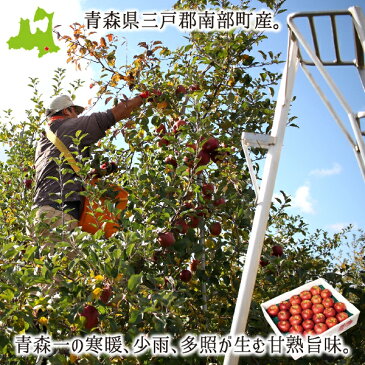 サンふじ 秀品・訳あり混載(小玉) 5kg 減農薬 無化学肥料 青森県南部産 家庭用 23〜30玉 11月中旬〜2月下旬 送料無料