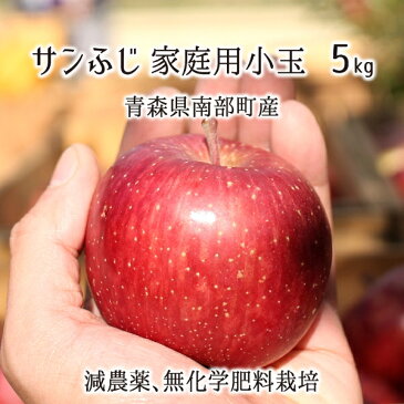 サンふじ 秀品・訳あり混載(小玉) 5kg 減農薬 無化学肥料 青森県南部産 家庭用 23〜30玉 11月中旬〜2月下旬 送料無料
