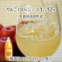 無添加 りんご 果汁100% ストレート ジュース にごり 減農薬 無化学肥料 青森県南部町産 (サンふじ70% 紅玉30%) 1000ml×12本 送料無料