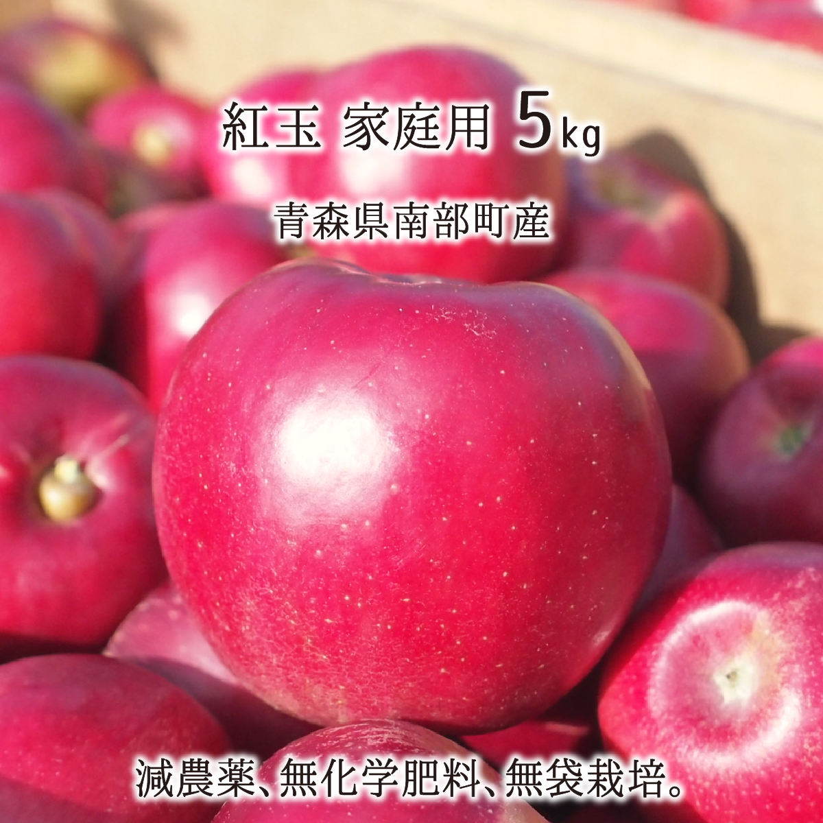 紅玉 訳あり 5kg 減農薬 無化学肥料 青森県南部町産 りんご 家庭用 20〜25玉 10月下旬〜11月中旬 送料無料