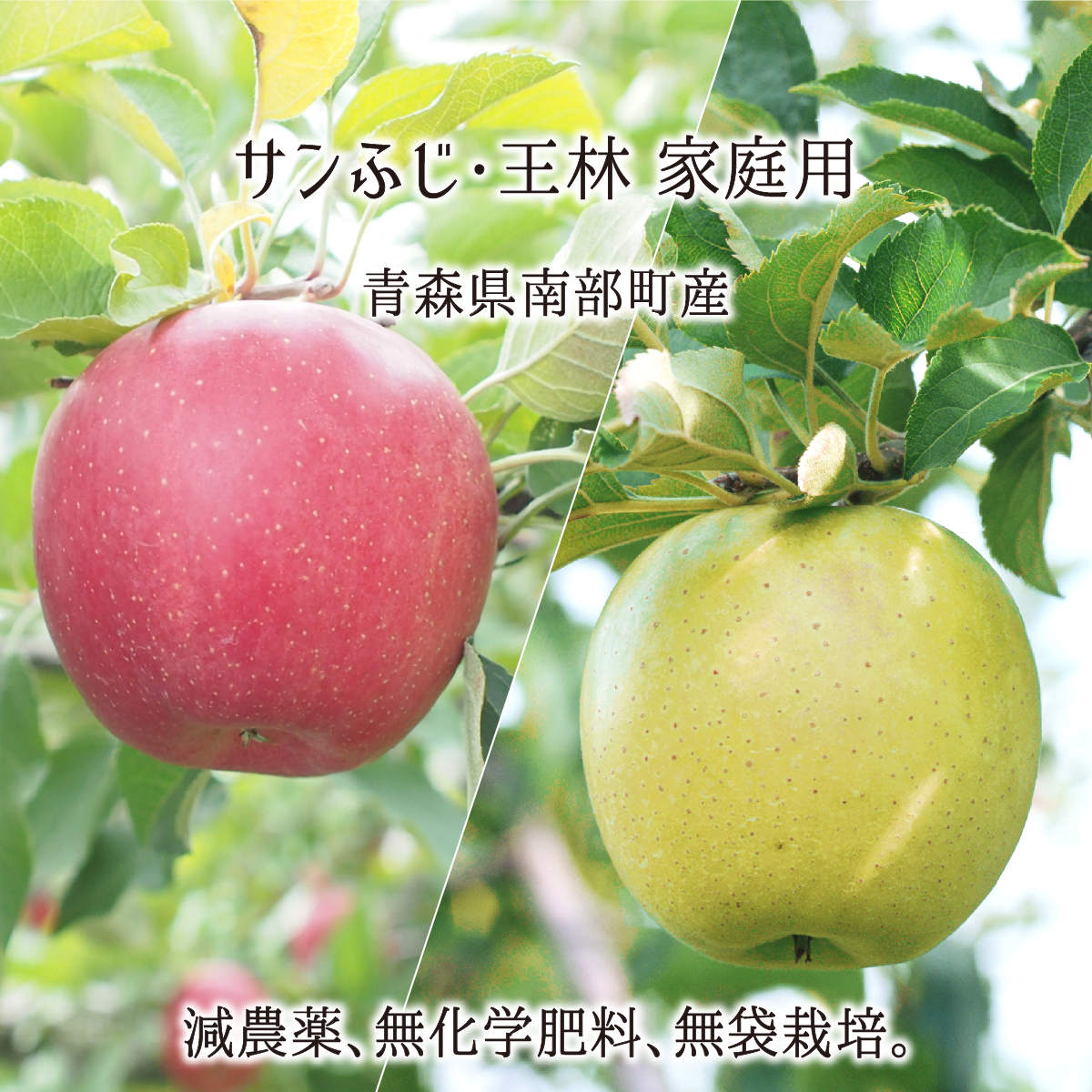 դ/  10kg 15kg  ̵ ĿĮ   12ܡ2 ̵