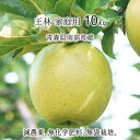 王林 訳あり 10kg 減農薬 無化学肥料 青森県南部町産 りんご 家庭用 26～40玉 11月中旬 ...