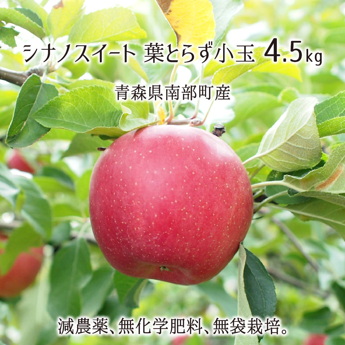 シナノスイート スマートフレッシュ 葉とらず(小玉) 4.5kg 減農薬 無化学肥料 青森県南部町産 りんご 23〜30玉 1月下旬〜5月下旬 送料無料のサムネイル