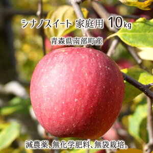 シナノスイート 訳あり 10kg 減農薬 無化学肥料 青森県南部町産 りんご 家庭用 26〜40玉 10月下旬〜1月中旬 送料無料