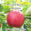 サンつがる 葉とらず 5kg 10kg 15kg 減農薬 無化学肥料 青森県南部町産 りんご 家庭用 9月下旬~10月中旬 送料無料