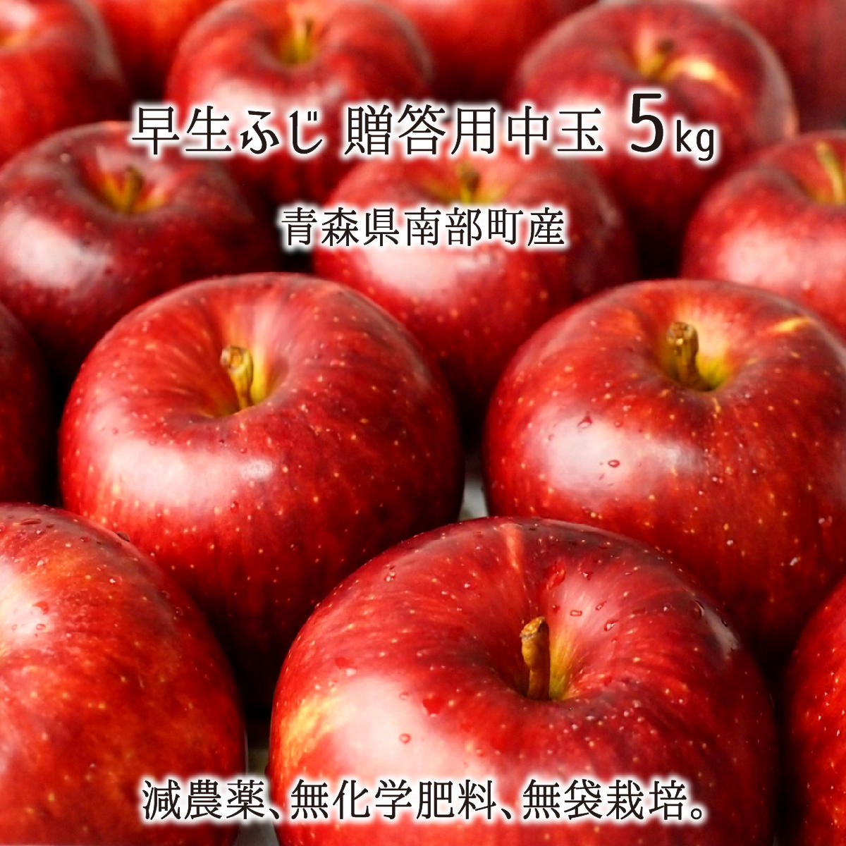 早生ふじ 秀品 中玉 5kg 減農薬 無化学肥料 青森県南部町産 りんご 贈答用 18〜20玉 10月上旬〜10月下旬 送料無料