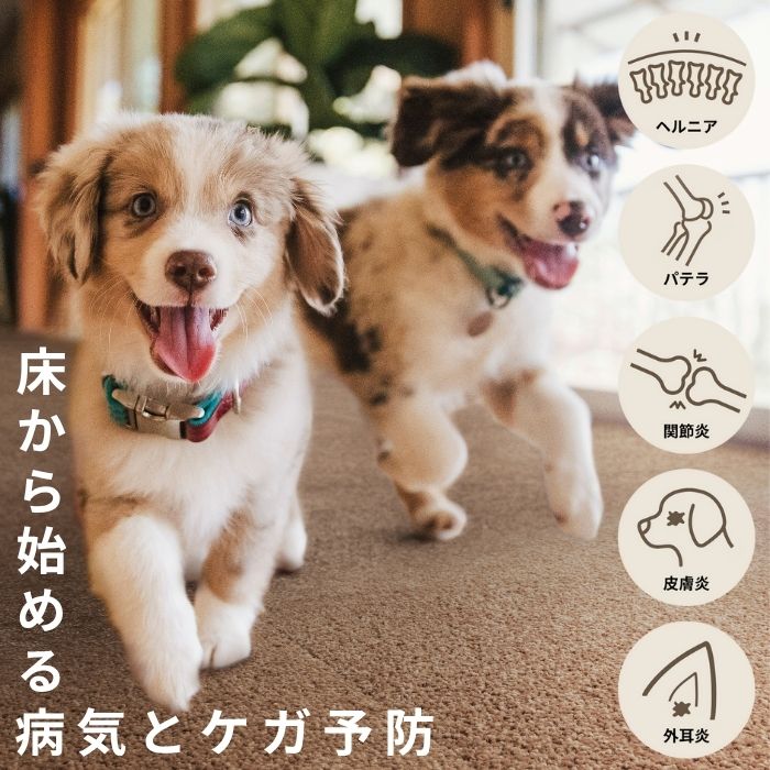 thum2