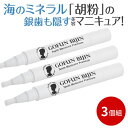【LINE登録で200円OFF】銀歯 隠す 銀歯カバー 歯 マニキュア ヤニ取り 気になる銀歯 ホワイトニング 歯の黄ばみ 汚れ ヤニ 銀歯隠し くすみ 歯マニキュア 塗るだけ 歯のくすみ 銀歯隠す ティースマニキュア 黄ばみ【メーカー公式】胡粉美人歯マニキュア プレミアム 3個組