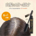 【LINE登録で200円OFF】【メーカー公式】 白髪隠し 白髪カバー 白髪かくし 生え際用 ポイント用 白髪染め 薄毛隠し 女性 薄毛カバー 生え際専用 白髪 薄毛 男女兼用 黒髪 ボリューム 速乾 長時間 ヘアカラー 生え際 根本 ダークブラウン 白髪ミッケ カバーマスカラー