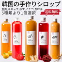 生姜シロップ ゼリー 手作生姜シロップ 香料や保存料不使用 おすすめ 韓国 プレミアム 搾汁 コールドプレス 手作りシロップ 手作り五味子シロップ, 手作りキキ...