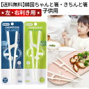 【送料無料】ちゃんと箸・きちんと箸 子供用 右利き, 左利き 韓国 箸/お箸/食器/矯正箸/しつけ箸/躾箸/箸使い 子供 箸使い きれい 練習 教育 将来 直す...