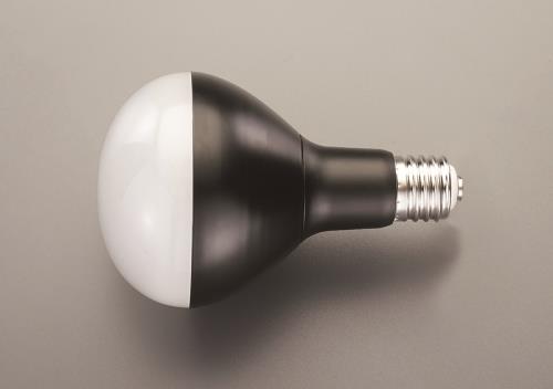 【3/5はP3倍!】エスコ(ESCO) 27W 作業灯用LED球 EA814AR-30