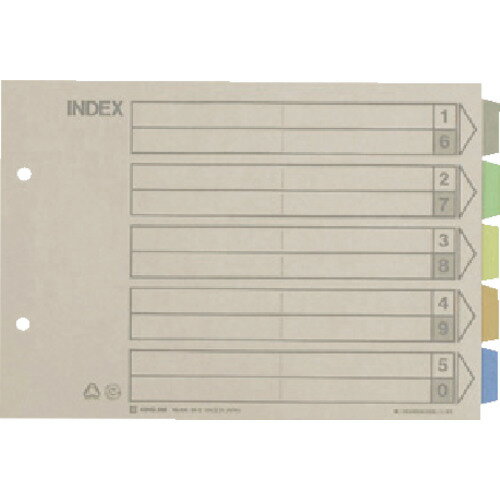 キングジム(KINGJIM) カラ-インデックス 10×278×278mm 906